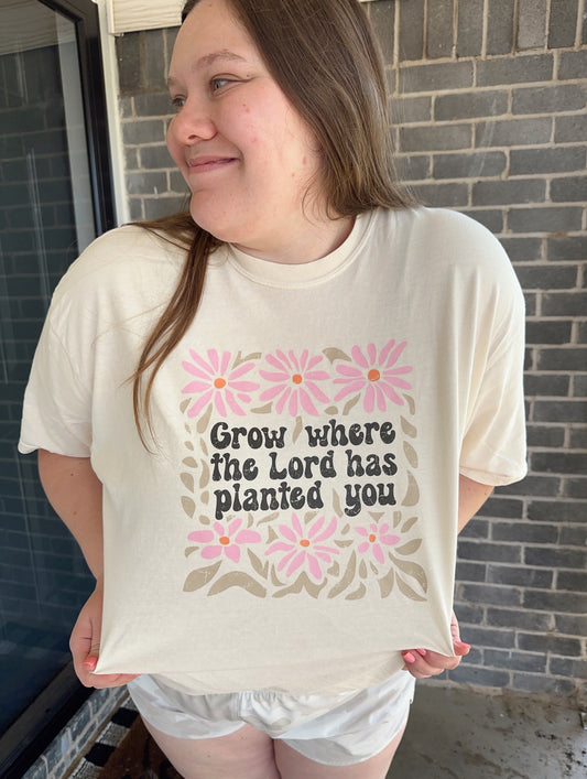 Grow Where The Lord